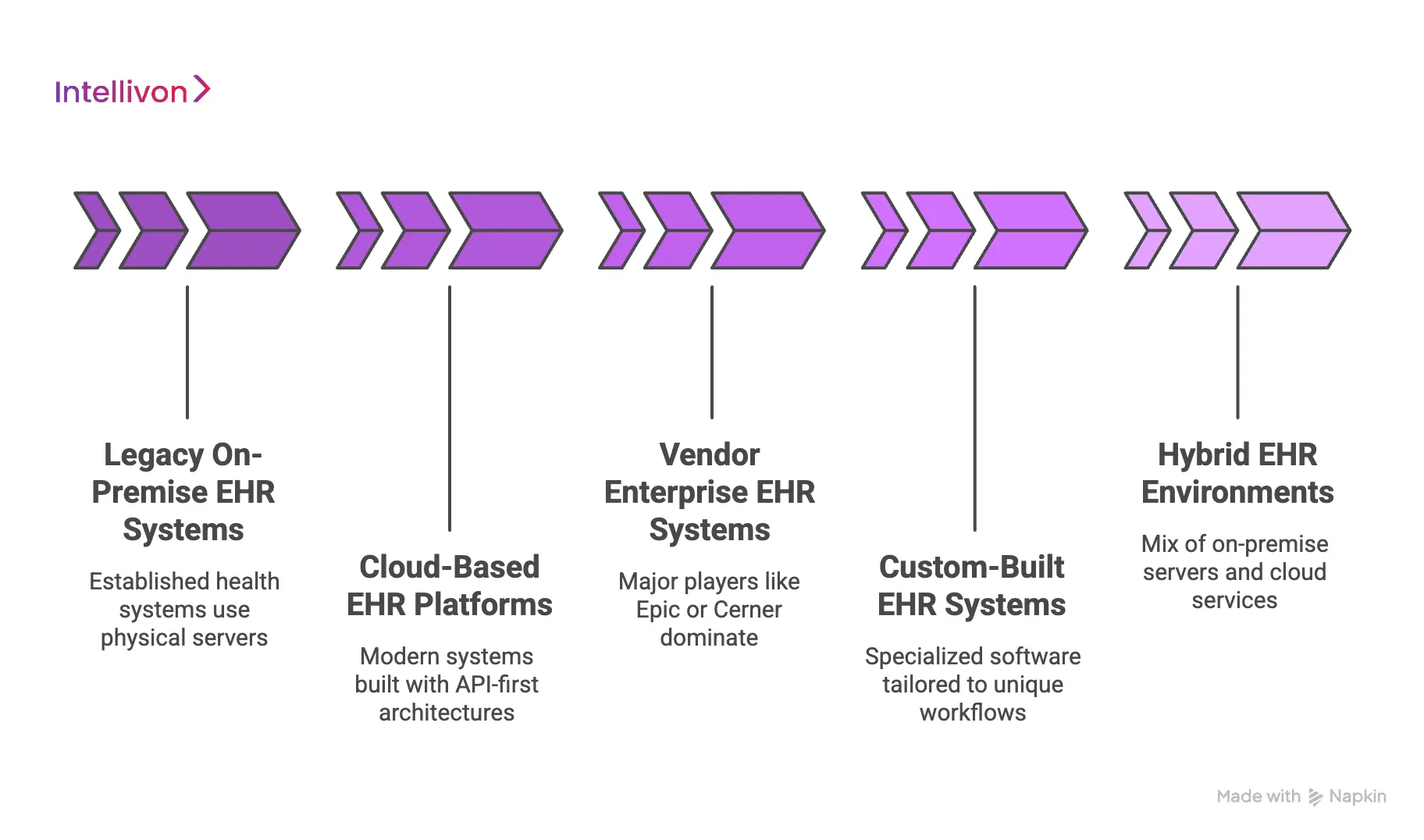 Types of EHR Systems and Integration Complexity 