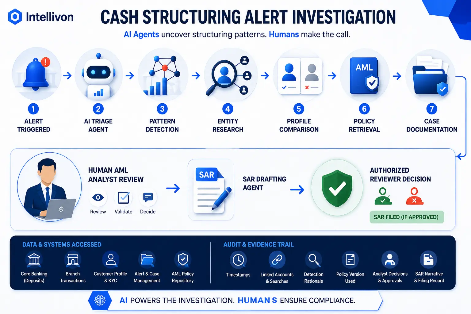 Cash Structuring Alert Investigation
