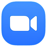 Zoom / Google Meet