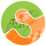 scikit-image