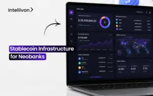 Stablecoin Infrastructure for Neobanks